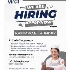 logo LAUNDRY VIRAL