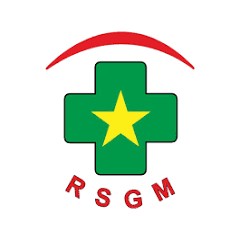 Logo Rumah sakit graha medika