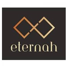 Logo CV AETERNITAS ENTITY INDONESIA
