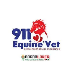 logo 911equine.vet