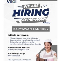 Logo LAUNDRY VIRAL